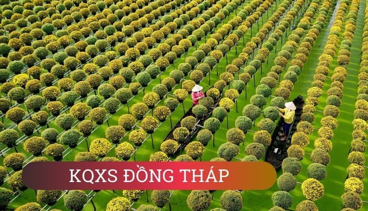 ket-qua-xo-so-mien-nam-tuvancado-kqxs đồng tháp