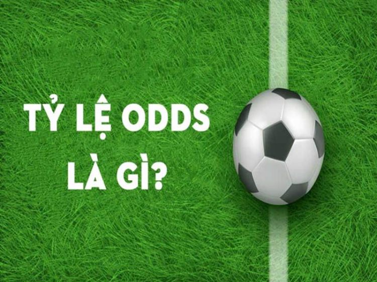 ca-do-mien-phi-giai-thich-ty-le-odds-cá cược bóng đá