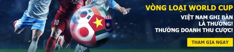 Vòng loại World Cup Vòng loại World Cup
