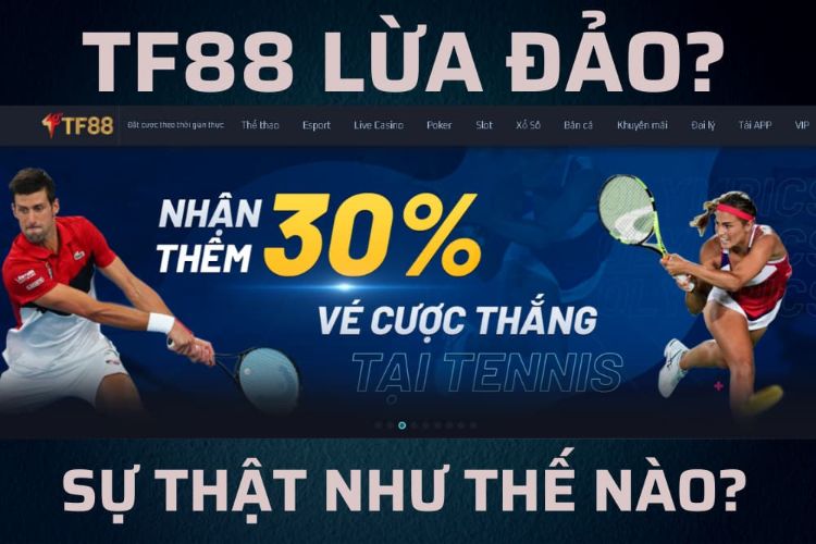 nha-cai-tf88-lua-dao nha-cai-tf88-lua-dao